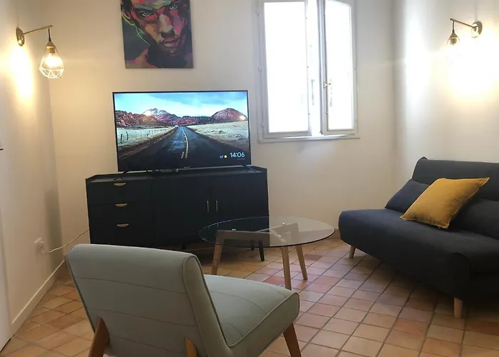 Logement Dans Le Vieux 公寓 图尔