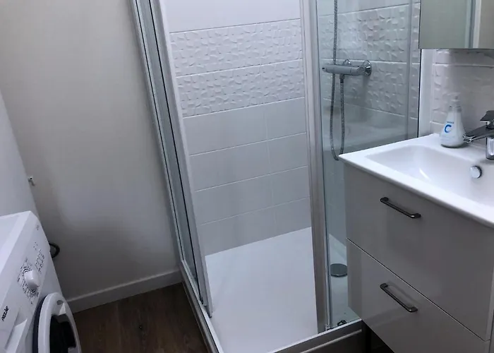 公寓 Logement Dans Le Vieux 图尔