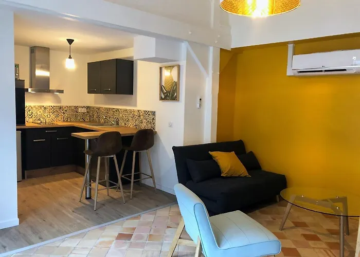 Logement Dans Le Vieux 公寓 图尔