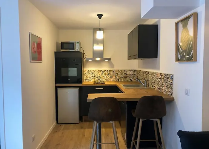 Logement Dans Le Vieux 公寓 图尔