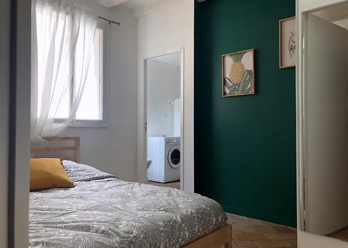 Logement Dans Le Vieux * 图尔