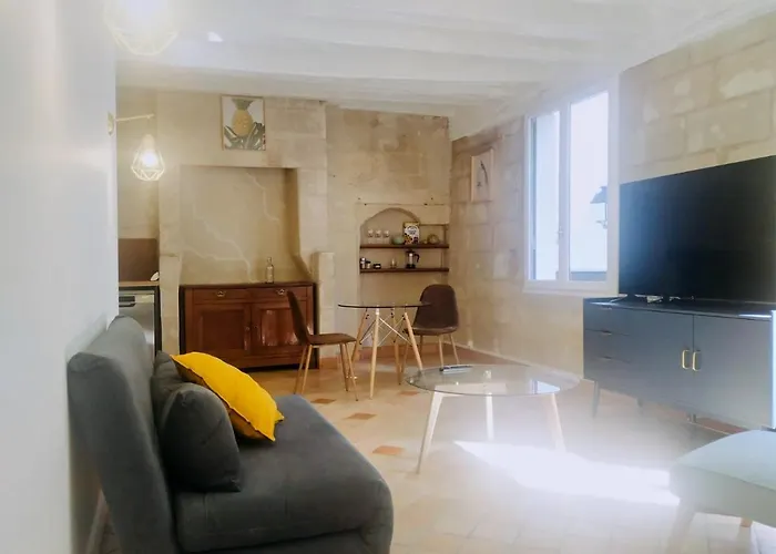 Logement Dans Le Vieux * 图尔